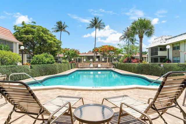 view of pool with a patio