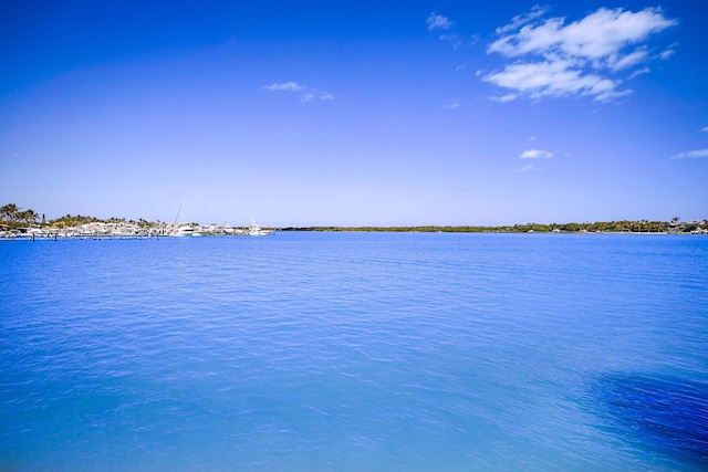 view of property view of water