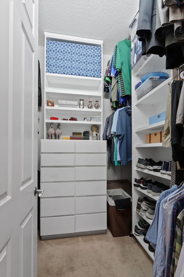 walk in closet with light colored carpet