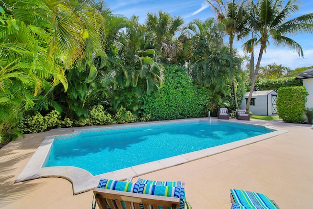 view of pool featuring a patio area and a storage shed