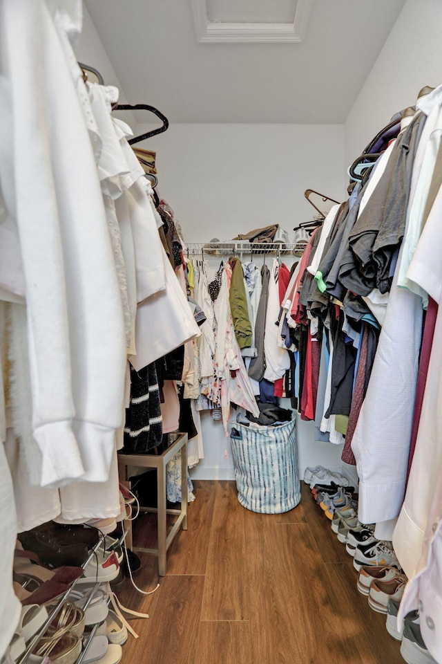 spacious closet featuring dark hardwood / wood-style flooring