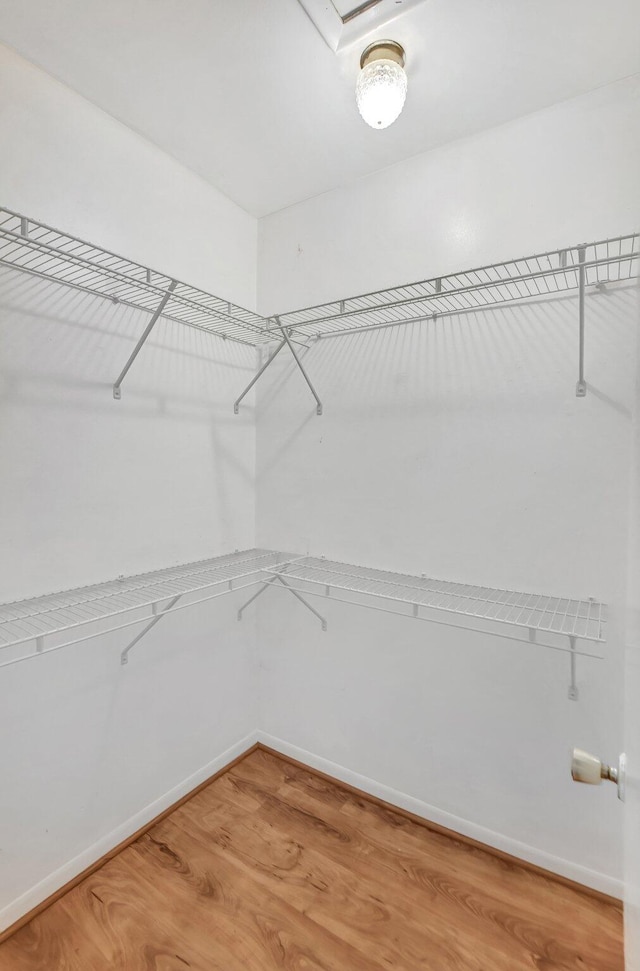 walk in closet featuring hardwood / wood-style floors