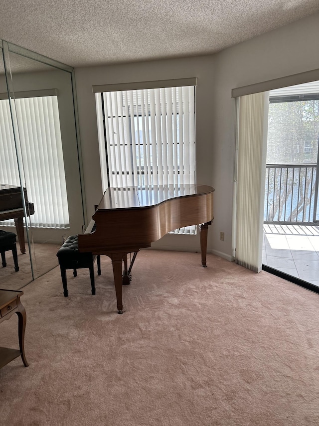 misc room with carpet flooring and a textured ceiling