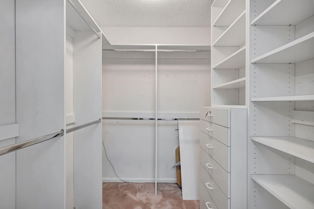 spacious closet with light colored carpet