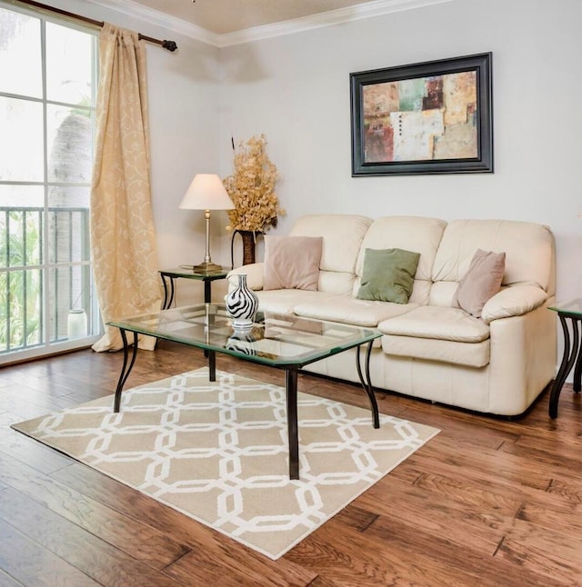 living room featuring crown molding and hardwood / wood-style flooring