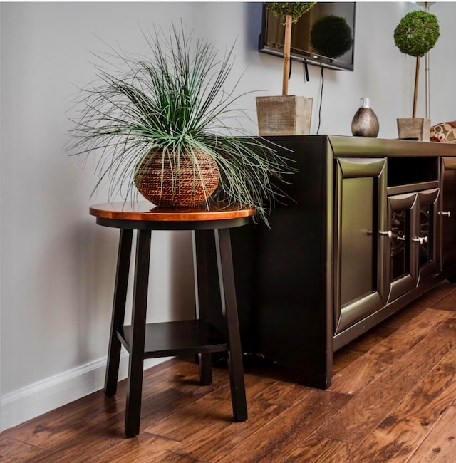 misc room with dark hardwood / wood-style floors