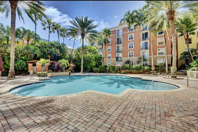 view of swimming pool with a patio area