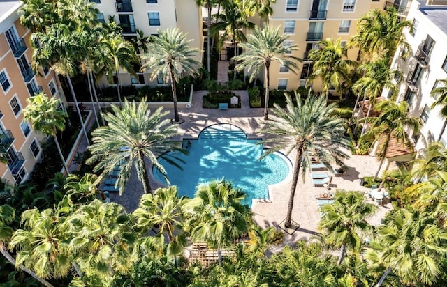 view of pool with a patio