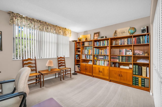 sitting room featuring carpet floors and a textured ceiling