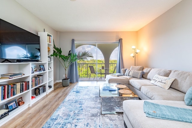 living room with hardwood / wood-style flooring