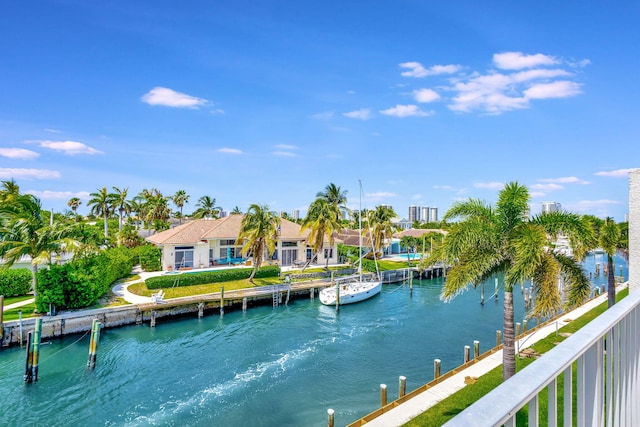 water view featuring a boat dock