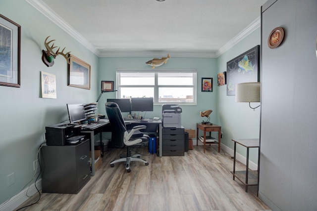 office featuring ornamental molding and light hardwood / wood-style floors