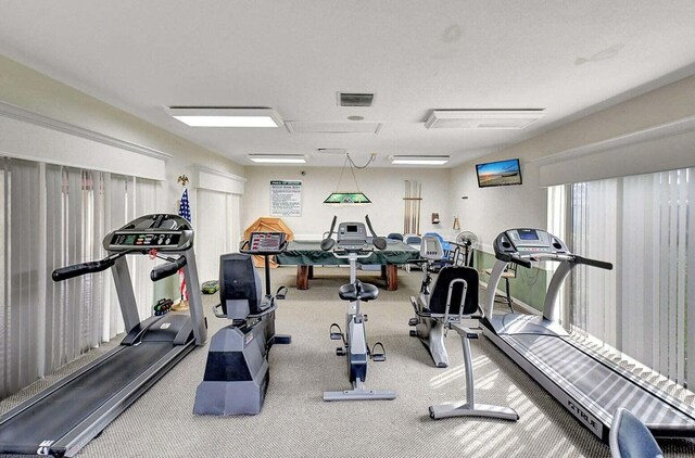 2541 Red Hibiscus Blvd Unit 31-B, Delray Beach, FL 33445 - gym with carpet flooring