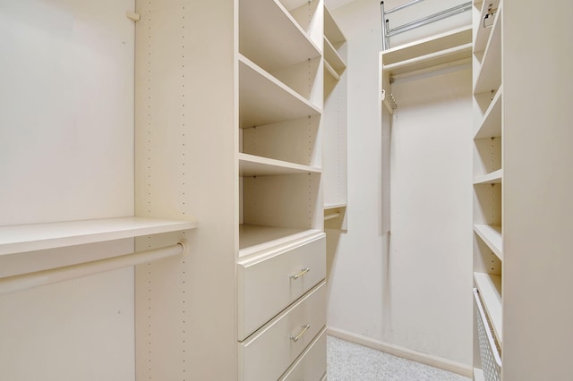 spacious closet with light colored carpet