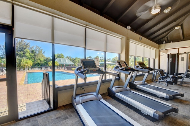 exercise room with lofted ceiling, carpet floors, and ceiling fan