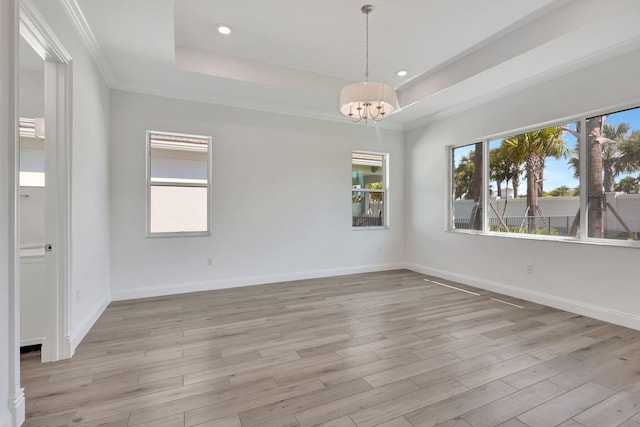 spare room with light wood finished floors, a raised ceiling, a wealth of natural light, and baseboards