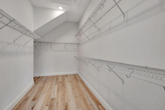 spacious closet featuring wood finished floors