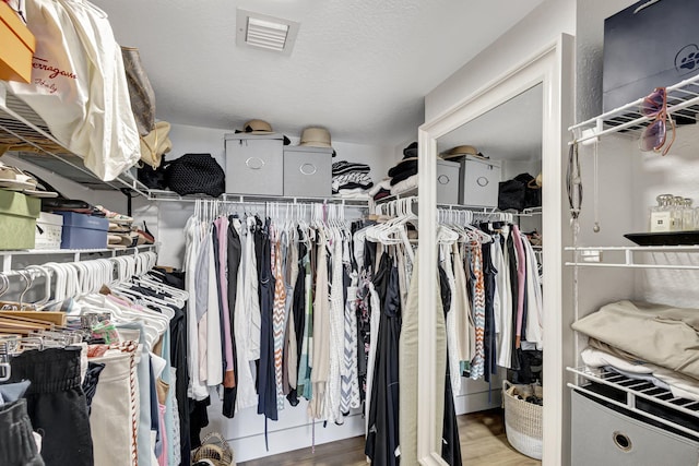 spacious closet with hardwood / wood-style flooring