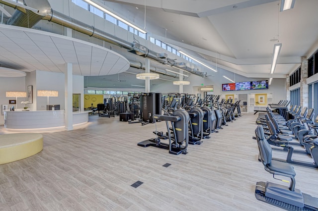 workout area featuring light hardwood / wood-style flooring and high vaulted ceiling