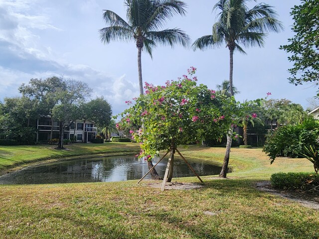 view of water feature