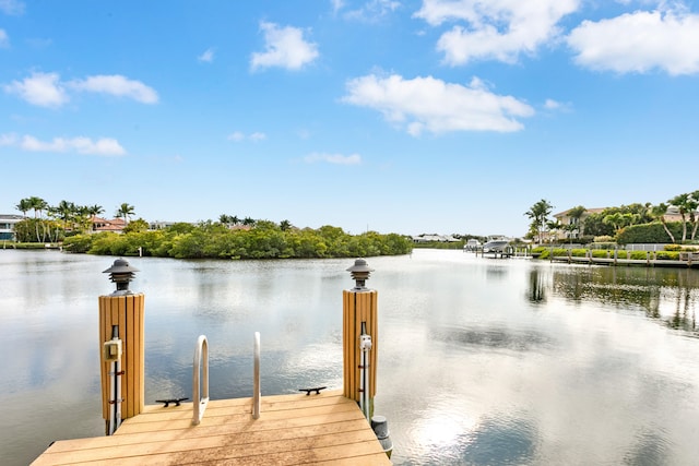 dock area with a water view