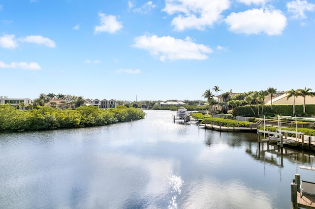 view of water feature with a dock