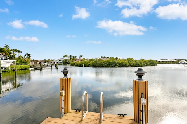 dock area with a water view