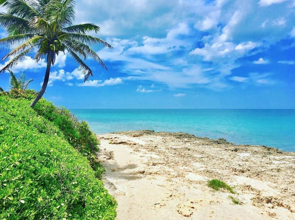 water view with a beach view