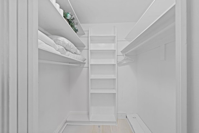 walk in closet featuring light hardwood / wood-style flooring