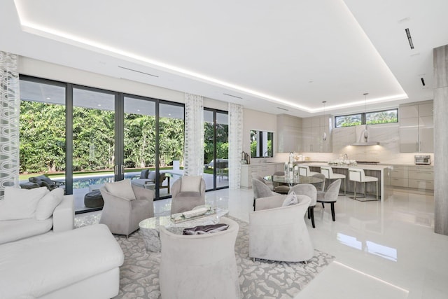 living room with a raised ceiling