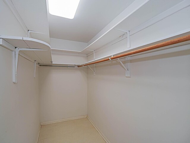 view of spacious closet