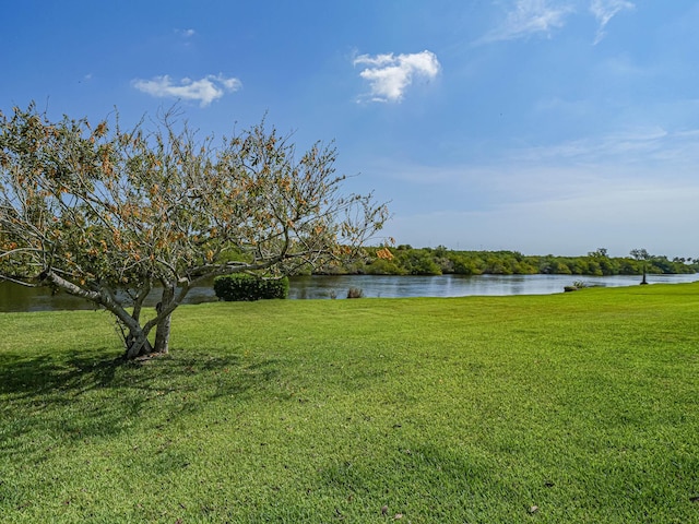 view of yard featuring a water view