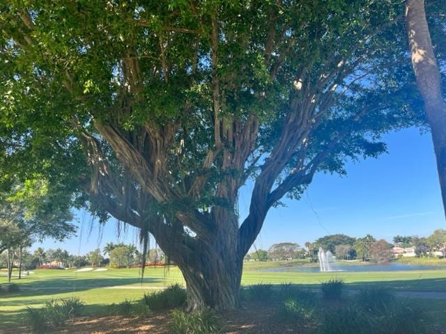 surrounding community featuring a lawn and a water view