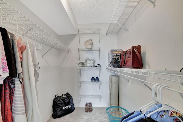 spacious closet featuring carpet flooring