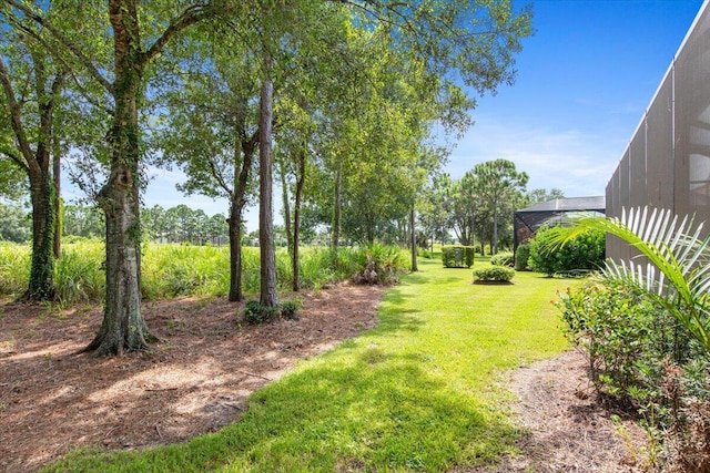 view of yard with a lanai