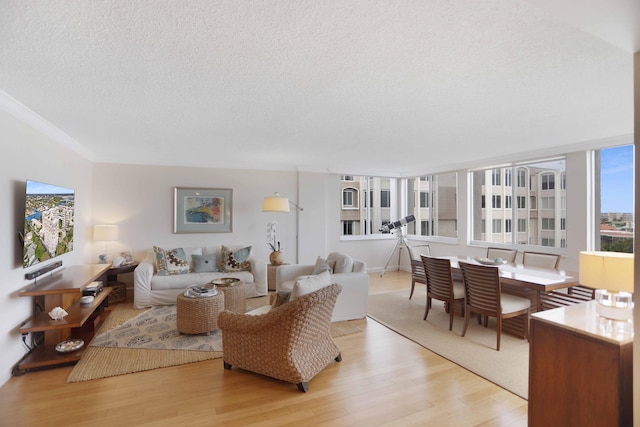 living room with light hardwood / wood-style floors and a textured ceiling