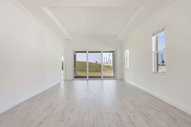 spare room with light hardwood / wood-style floors and a raised ceiling