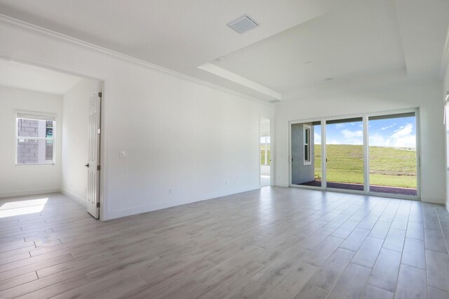 spare room with a raised ceiling and a wealth of natural light