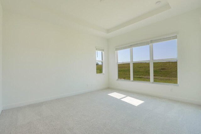 empty room featuring a raised ceiling and light carpet