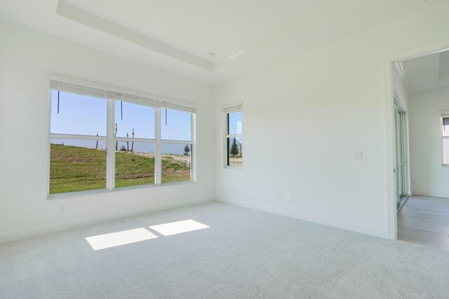 empty room featuring a raised ceiling and light carpet