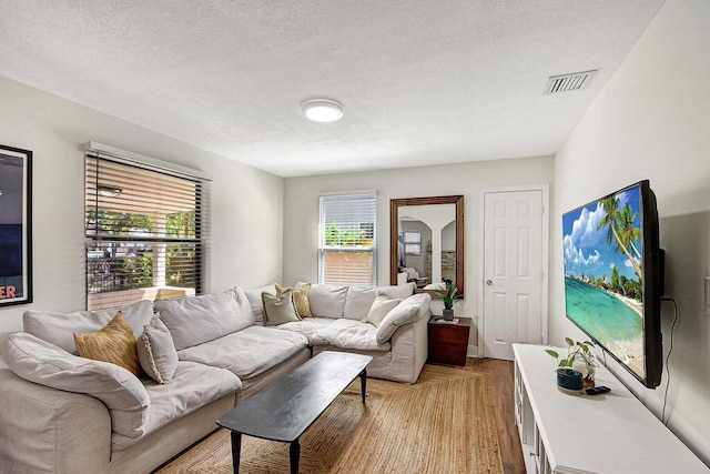 living room featuring light hardwood / wood-style flooring and a textured ceiling