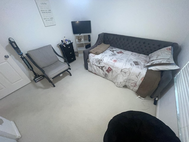 bedroom with carpet flooring