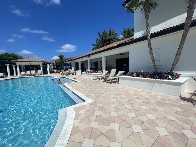 view of swimming pool with a patio