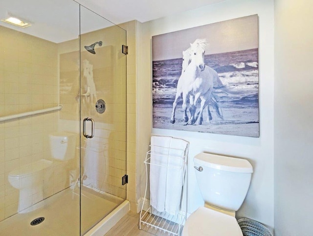 bathroom featuring a shower with door and toilet