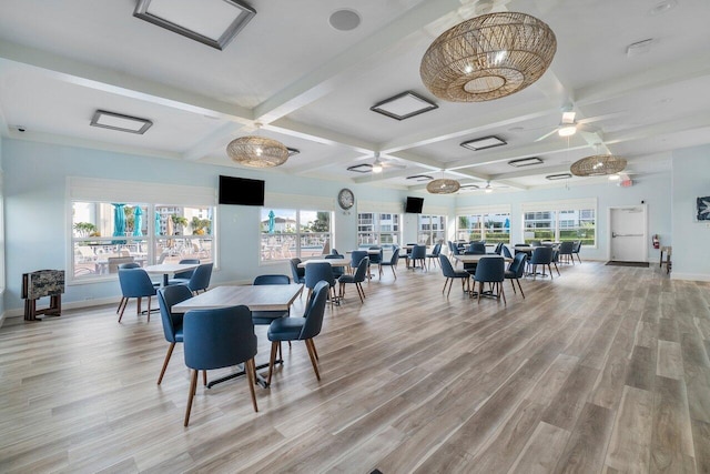 dining space featuring ceiling fan, plenty of natural light, coffered ceiling, and light wood-type flooring