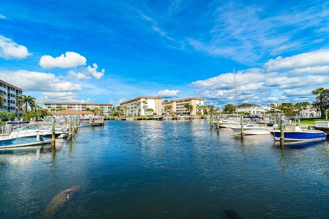 dock area featuring a water view