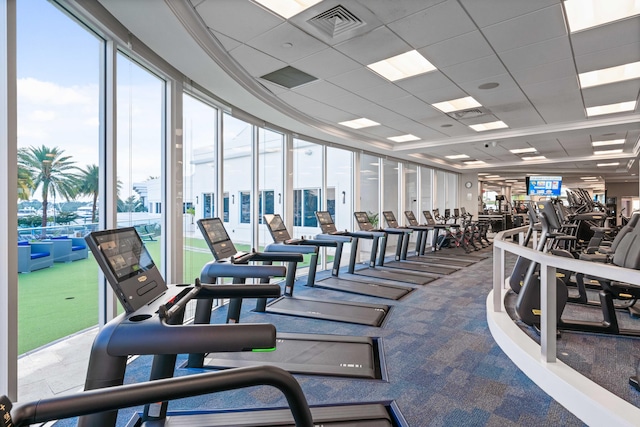 gym featuring a paneled ceiling, carpet flooring, and plenty of natural light