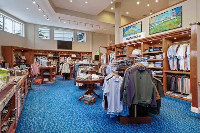 misc room featuring track lighting, carpet, and a towering ceiling