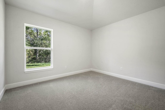 unfurnished room featuring a wealth of natural light and carpet