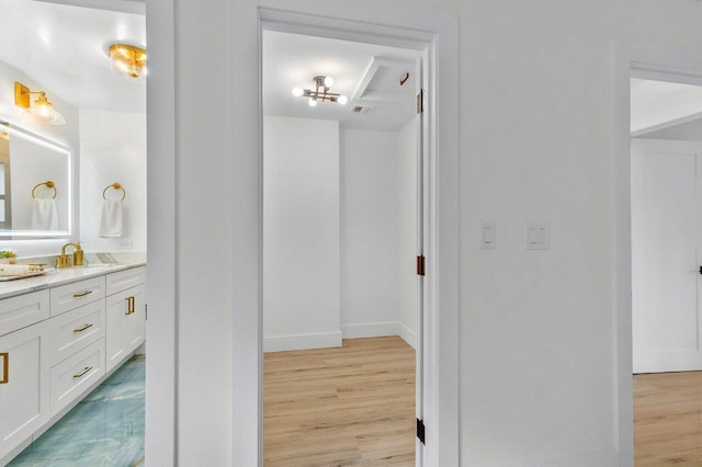 bathroom featuring wood-type flooring and vanity